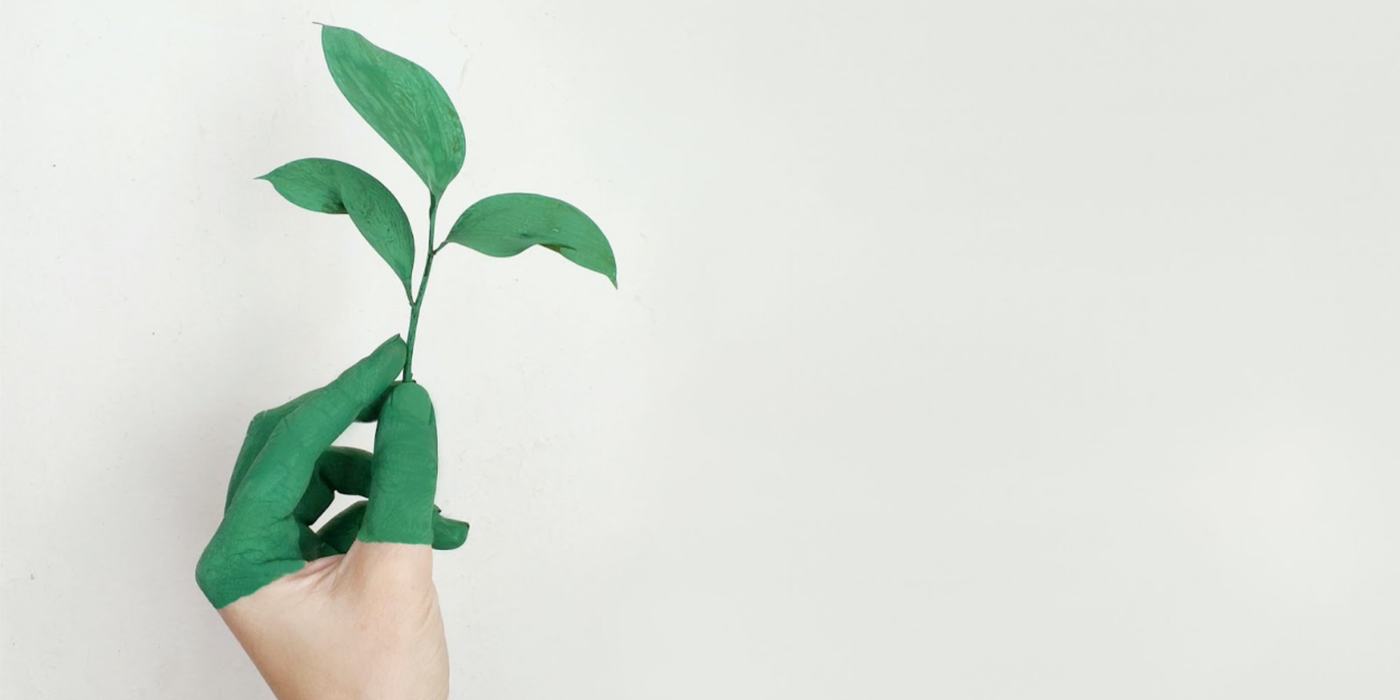 Sustainability Nachhaltigkeit 