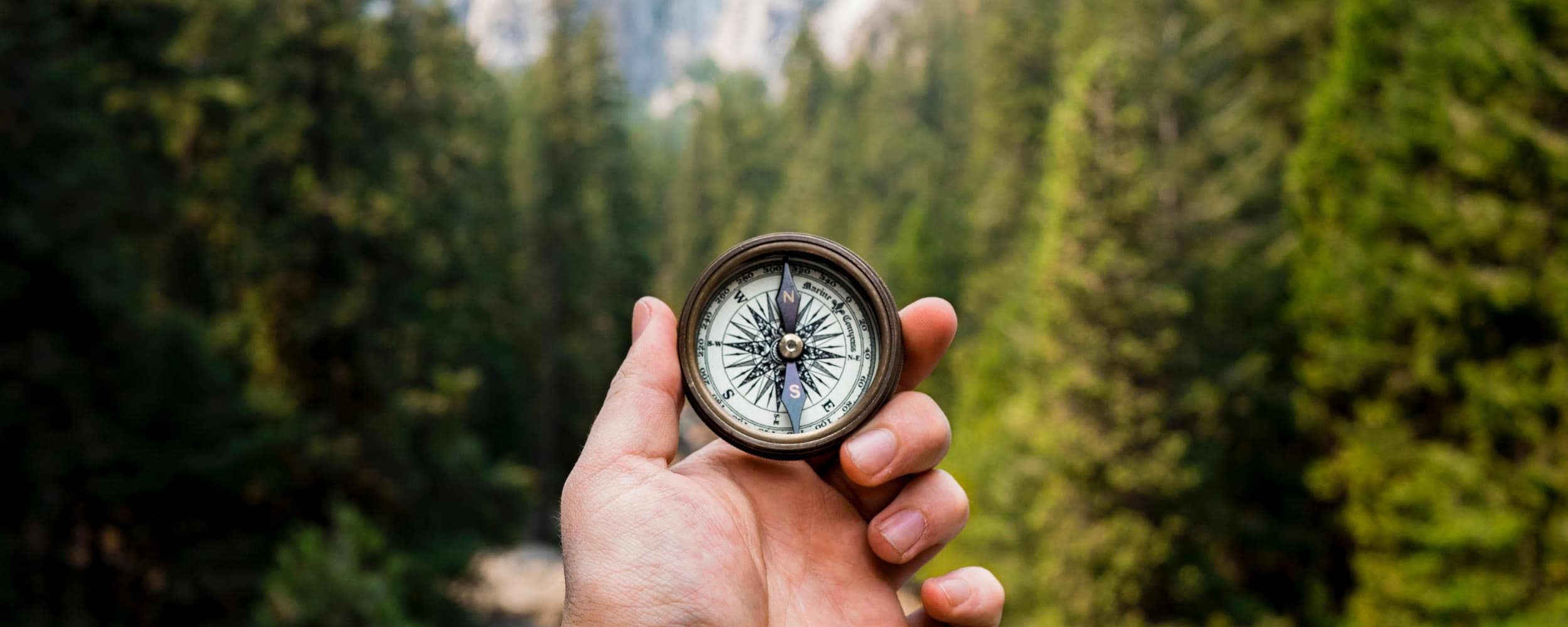 Leben sinn, life purpose, finding purpose
